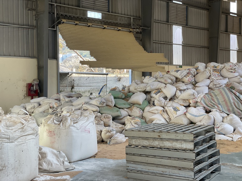 Thủ tướng thăm hỏi, động viên người dân, doanh nghiệp thiệt hại nặng nề do thiên tai, bão lũ tại Gia Lai- Ảnh 5.