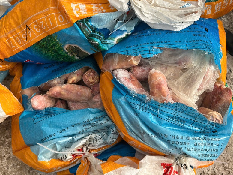Quảng Ninh: Phát hiện, tiêu hủy 300 kg chân lợn đông lạnh không rõ xuất xứ- Ảnh 1. Quảng Ninh: Phát hiện, tiêu hủy 300 kg chân lợn đông lạnh không rõ xuất xứ- Ảnh 1.