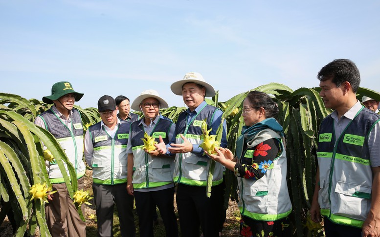 Khuyến nông 'bắt tay' doanh nghiệp: 'Thiên thời, địa lợi, nhân hòa' cho 1 triệu ha lúa chất lượng cao