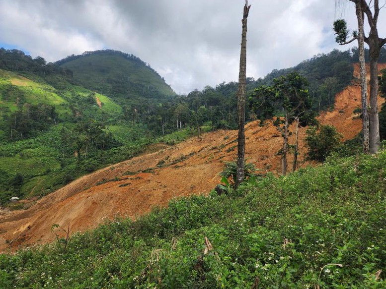 Đà Nẵng: Sạt lở núi ở xã biên giới, sơ tán khẩn cấp hơn 200 người- Ảnh 1. Đà Nẵng: Sạt lở núi ở xã biên giới, sơ tán khẩn cấp hơn 200 người- Ảnh 1.