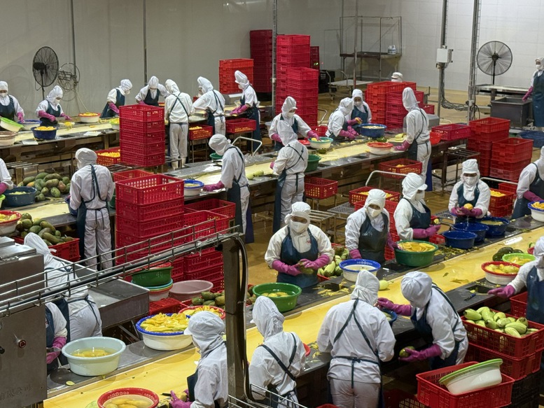 Khoa học nông nghiệp: Từ phòng thí nghiệm đến cánh đồng- Ảnh 1. Khoa học nông nghiệp: Từ phòng thí nghiệm đến cánh đồng- Ảnh 1.