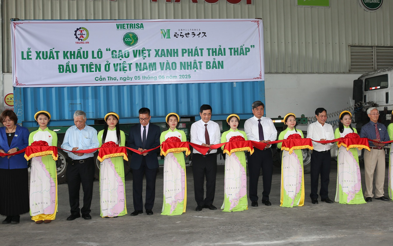 Hơn 70.000 tấn “Gạo Việt xanh, phát thải thấp” được cấp nhãn hiệu: Bước tiến mới của gạo Việt