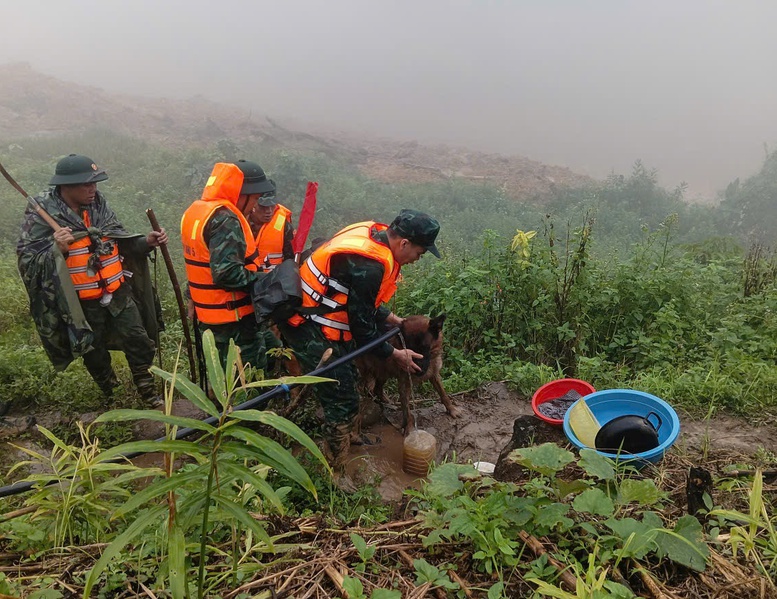 Tăng cường 'cảnh khuyển' tìm kiếm nạn nhân trong vụ sạt lở núi ở Đà Nẵng- Ảnh 2. Tăng cường 'cảnh khuyển' tìm kiếm nạn nhân trong vụ sạt lở núi ở Đà Nẵng- Ảnh 2.