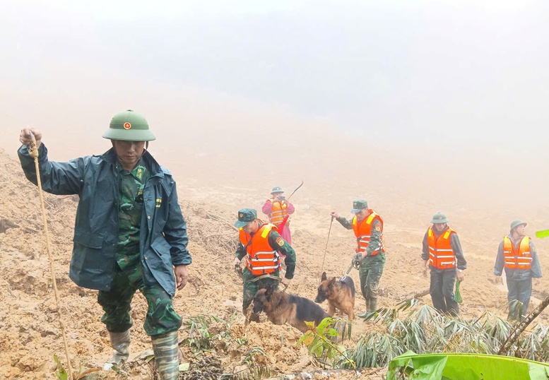 Tăng cường 'cảnh khuyển' tìm kiếm nạn nhân trong vụ sạt lở núi ở Đà Nẵng- Ảnh 1. Tăng cường 'cảnh khuyển' tìm kiếm nạn nhân trong vụ sạt lở núi ở Đà Nẵng- Ảnh 1.