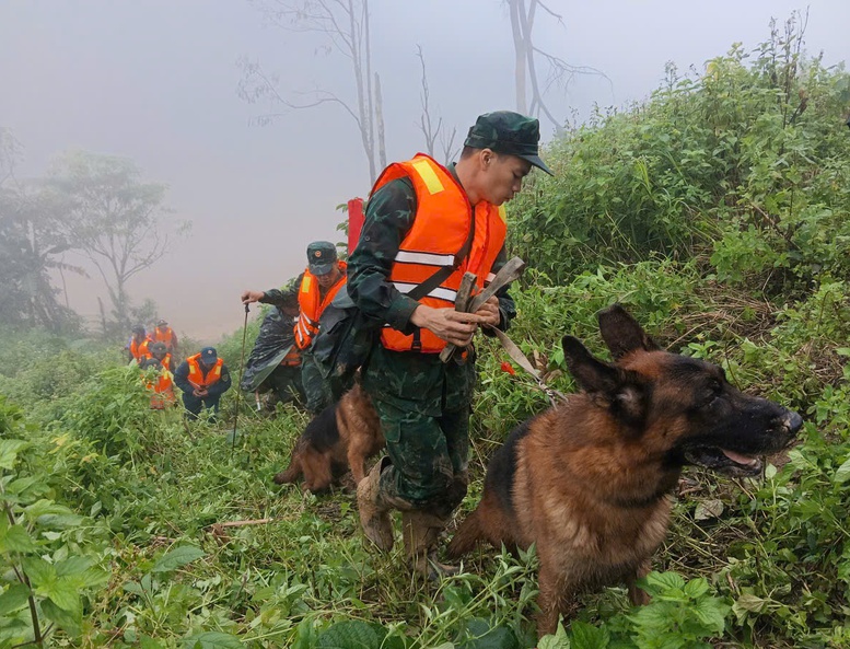 Tăng cường 'cảnh khuyển' tìm kiếm nạn nhân trong vụ sạt lở núi ở Đà Nẵng- Ảnh 3. Tăng cường 'cảnh khuyển' tìm kiếm nạn nhân trong vụ sạt lở núi ở Đà Nẵng- Ảnh 3.