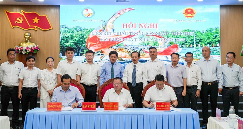 Xây dựng chuỗi liên kết cua Cà Mau: Bệ phóng cho đặc sản vươn xa- Ảnh 2. Xây dựng chuỗi liên kết cua Cà Mau: Bệ phóng cho đặc sản vươn xa- Ảnh 2.