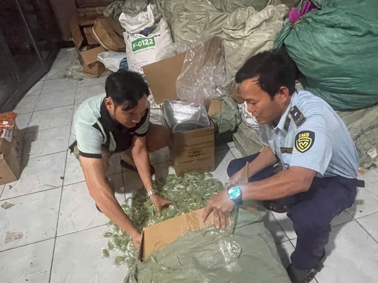 Phát hiện và tạm giữ hơn một tấn bánh kẹo không rõ nguồn gốc, xuất xứ- Ảnh 1. Phát hiện và tạm giữ hơn một tấn bánh kẹo không rõ nguồn gốc, xuất xứ- Ảnh 1.