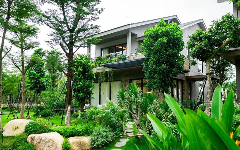 Nhà dưới tán rừng của Ecopark: Xóa nhòa ranh giới giữa tiện nghi và sinh thái