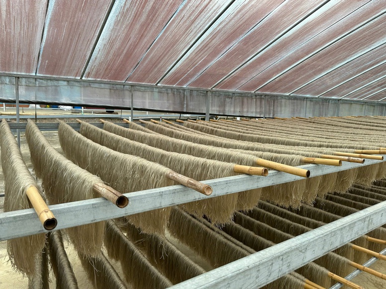 Miến dong Tài Hoan - OCOP 5 sao từ nông sản vùng cao Thái Nguyên- Ảnh 2.