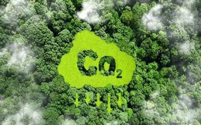 Thị trường tín chỉ carbon: 'Tài sản xanh' mở đường cho kinh tế bền vững
