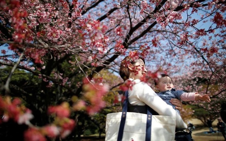 Nhật Bản lập cơ quan do Thủ tướng đứng đầu ứng phó khủng hoảng dân số