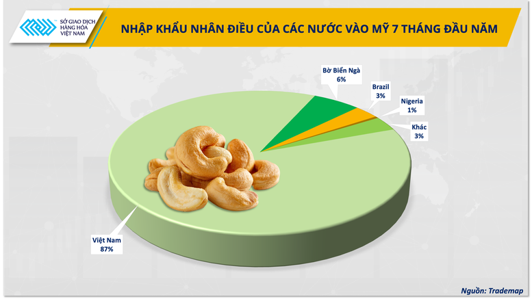 Hạt điều Việt Nam: Từ xuất khẩu thô đến cơ hội sữa hạt tại Mỹ- Ảnh 2.