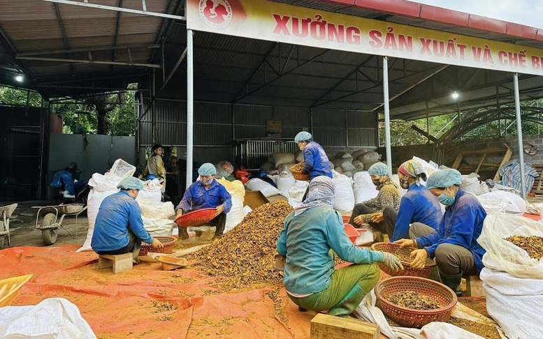Bạch Thông phát huy kinh tế tập thể, nâng tầm sản phẩm OCOP