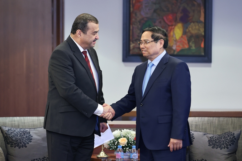 Thủ tướng đề nghị Bộ Dầu khí và Mỏ Algeria thúc đẩy các dự án cụ thể với Việt Nam- Ảnh 1.