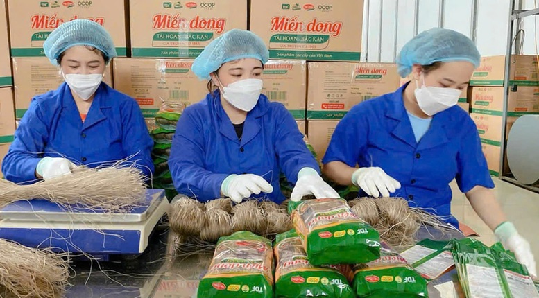 Hành trình đổi thay ở vùng Bắc Thái Nguyên- Ảnh 2.