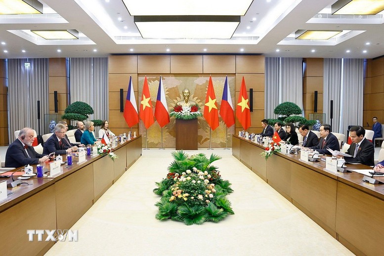 Chủ tịch Quốc hội Trần Thanh Mẫn hội đàm với Chủ tịch Thượng viện Quốc hội Cộng hòa Czech- Ảnh 2.