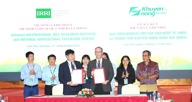 'Cánh đồng xanh, công nghệ sạch': Lúa chất lượng cao mở tương lai mới cho ĐBSCL- Ảnh 2.