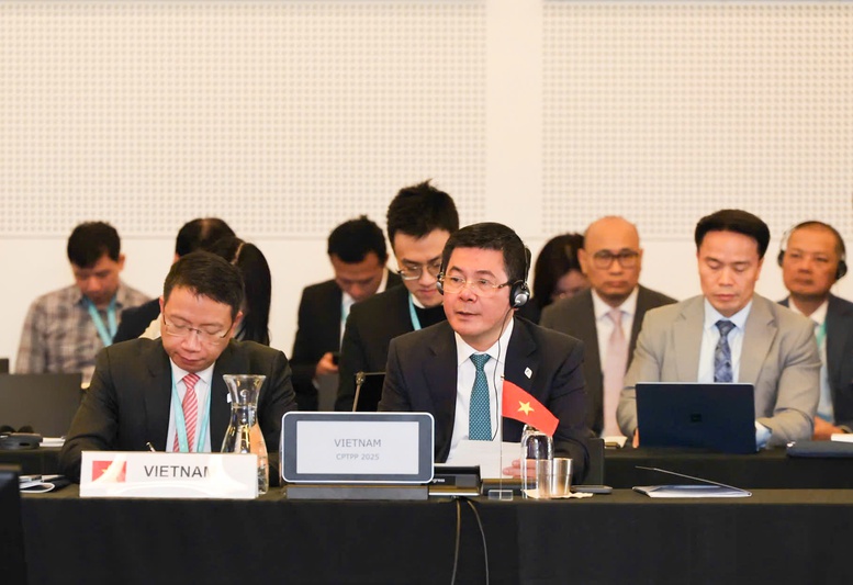 Việt Nam đề xuất thành lập Bộ phận hỗ trợ CPTPP- Ảnh 1.