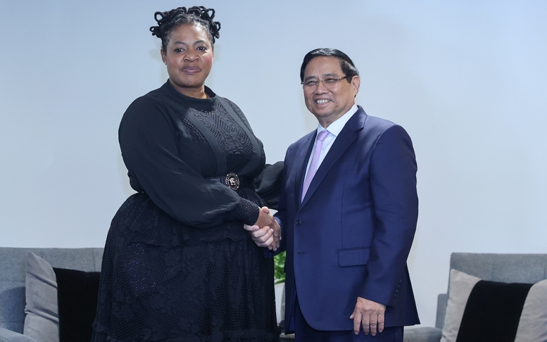 Thủ tướng kết nối hợp tác giữa hai tập đoàn dầu khí quốc gia của Việt Nam, Nam Phi