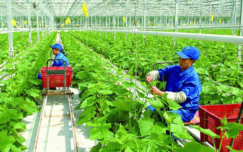 Đã có nhiều ưu đãi tín dụng cho lĩnh vực nông nghiệp