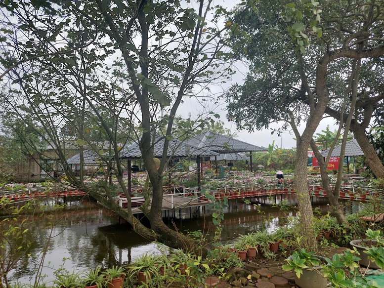 Quyết tâm tạo đột phá xây dựng nông thôn mới Thủ đô- Ảnh 1.