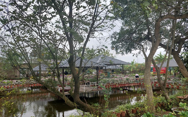 Quyết tâm tạo đột phá xây dựng nông thôn mới Thủ đô