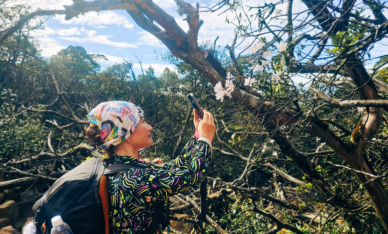 Ngắm biển mây cuồn cuộn, núi rừng nguyên sơ từ 'nóc nhà' Quảng Trị- Ảnh 7.