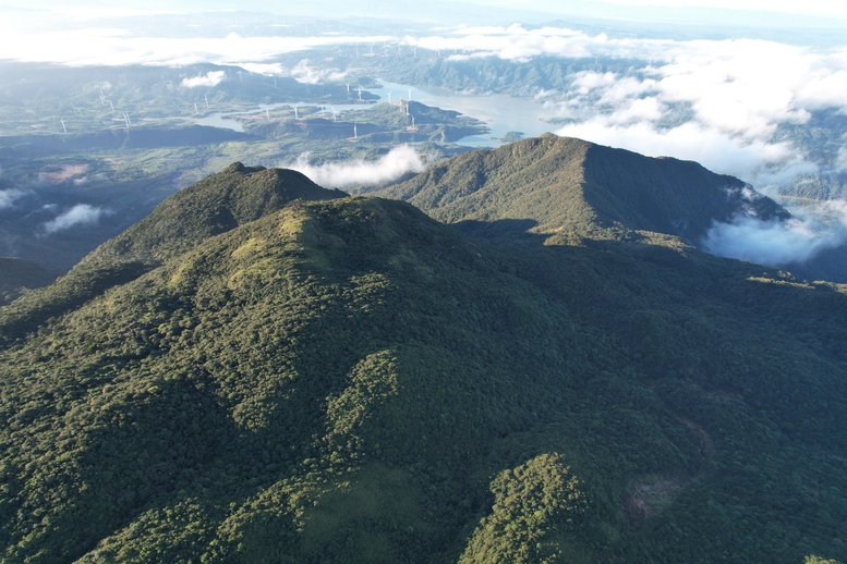 Ngắm biển mây cuồn cuộn, núi rừng nguyên sơ từ 'nóc nhà' Quảng Trị- Ảnh 3.