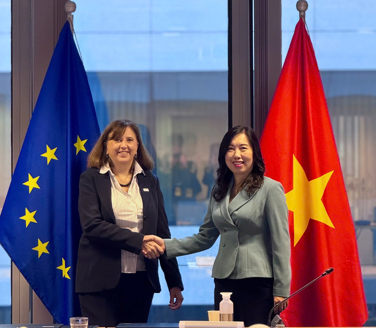 EU tiếp tục kêu gọi các nước thành viên hỗ trợ Việt Nam- Ảnh 1.