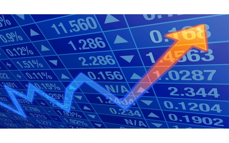 Sửa đổi, bổ sung quy định về xử phạt vi phạm hành chính liên quan đến chào bán, phát hành cổ phiếu riêng lẻ