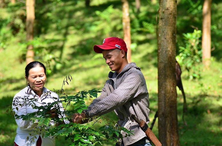 Thị trường tín chỉ carbon: 'Tài sản xanh' mở đường cho kinh tế bền vững- Ảnh 1.