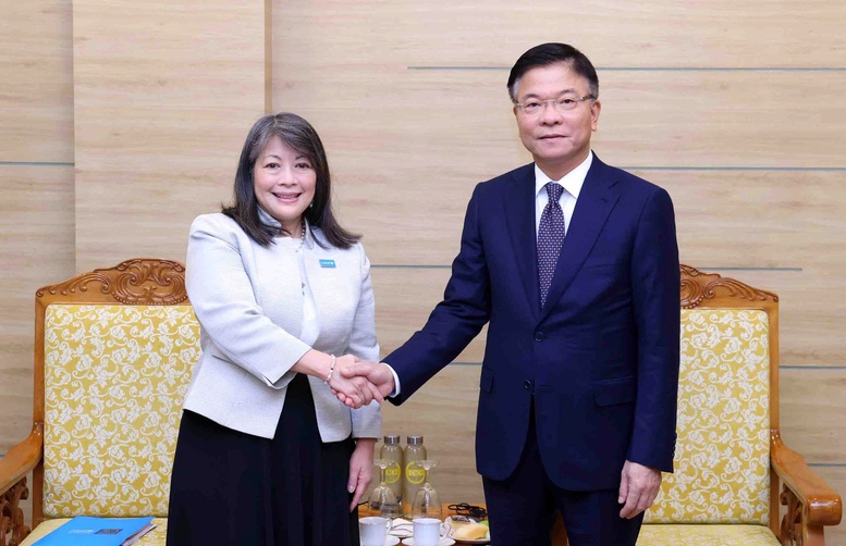 Phó Thủ tướng Lê Thành Long tiếp Giám đốc UNICEF khu vực Đông Á – Thái Bình Dương- Ảnh 1.