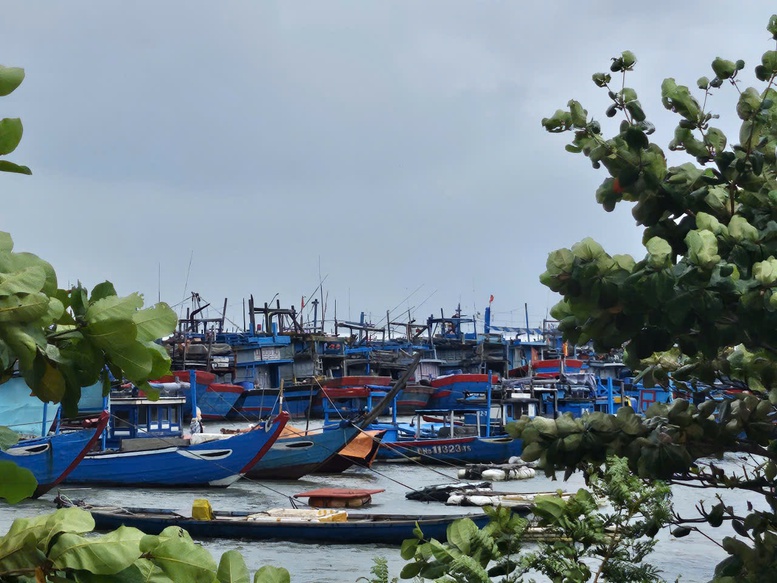 Các địa phương miền Trung chủ động ứng phó bão số 15- Ảnh 2. Các địa phương miền Trung chủ động ứng phó bão số 15- Ảnh 2.
