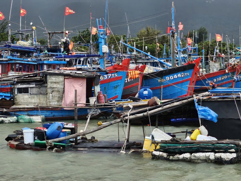 Các địa phương miền Trung chủ động ứng phó bão số 15- Ảnh 1. Các địa phương miền Trung chủ động ứng phó bão số 15- Ảnh 1.