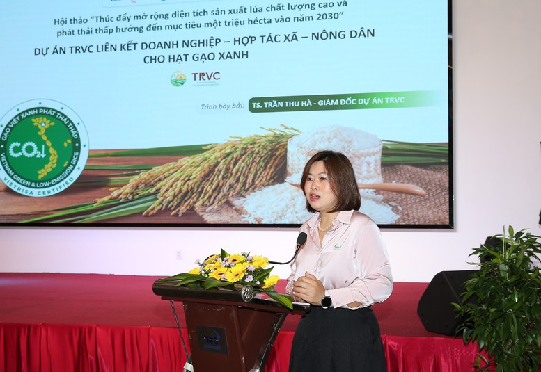 Đề án 1 triệu ha lúa 'xanh': Liên kết chuỗi, chuẩn hóa quy trình để về đích 2030- Ảnh 2.