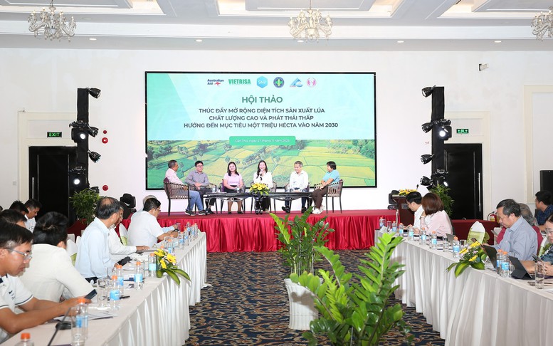 Đề án 1 triệu ha lúa 'xanh': Liên kết chuỗi, chuẩn hóa quy trình để về đích 2030