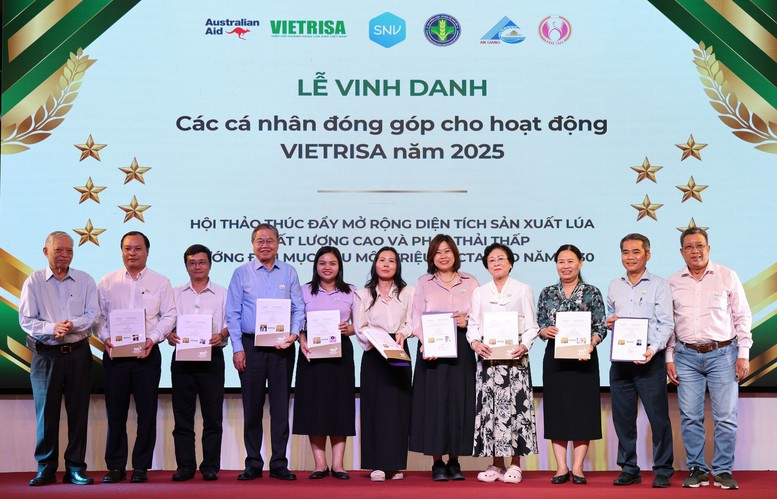Đề án 1 triệu ha lúa 'xanh': Liên kết chuỗi, chuẩn hóa quy trình để về đích 2030- Ảnh 3.