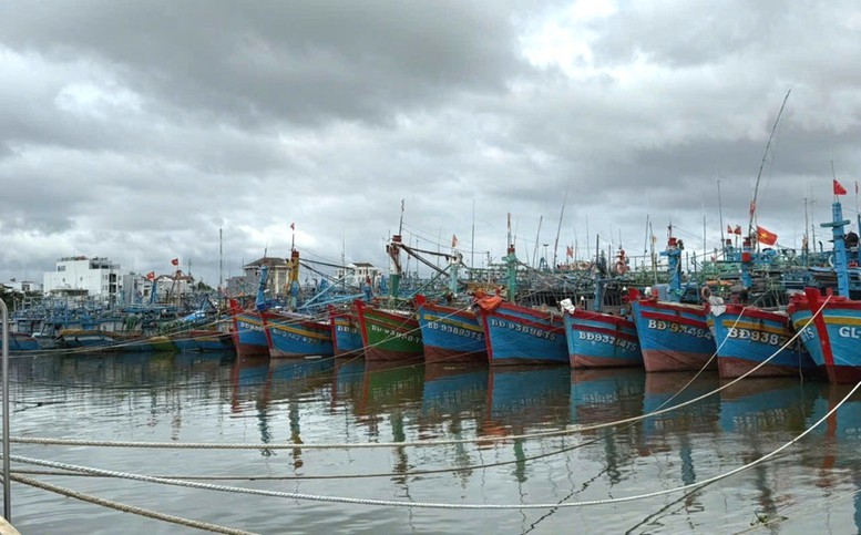 Gia Lai, Khánh Hòa: Khẩn trương triển khai các biện pháp cấp bách ứng phó bão số 15- Ảnh 1. Gia Lai, Khánh Hòa: Khẩn trương triển khai các biện pháp cấp bách ứng phó bão số 15- Ảnh 1.