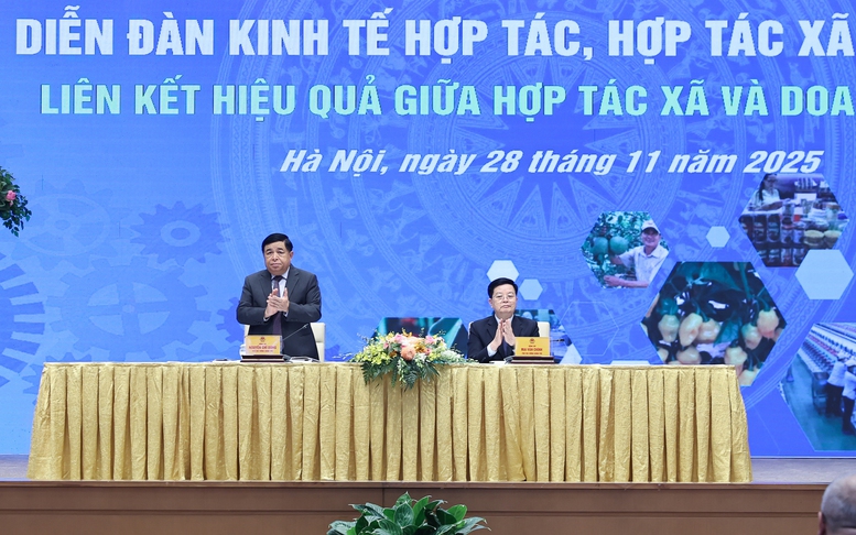 Liên kết hiệu quả giữa hợp tác xã và doanh nghiệp