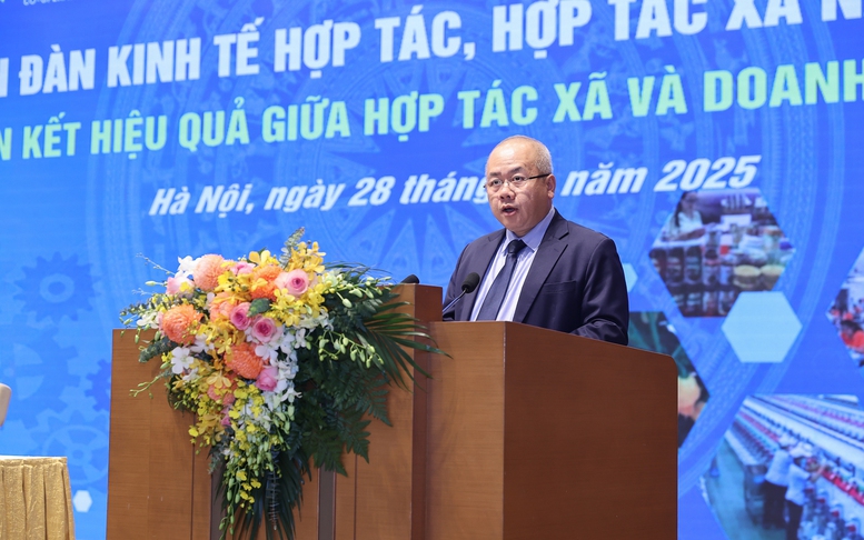 Liên kết hợp tác xã-doanh nghiệp: Lợi ích đa chiều