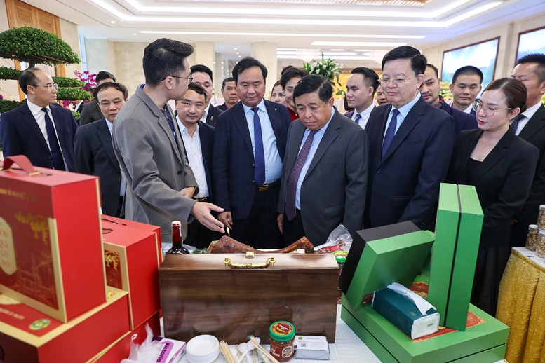 Liên kết hiệu quả giữa hợp tác xã và doanh nghiệp- Ảnh 1. Liên kết hiệu quả giữa hợp tác xã và doanh nghiệp- Ảnh 1.