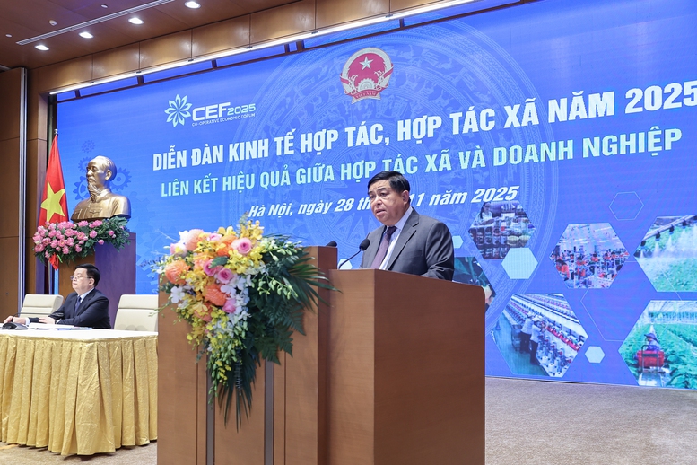 Phó Thủ tướng Nguyễn Chí Dũng: Phải coi hợp tác xã là đối tác kinh doanh bình đẳng- Ảnh 1. Phó Thủ tướng Nguyễn Chí Dũng: Phải coi hợp tác xã là đối tác kinh doanh bình đẳng- Ảnh 1.