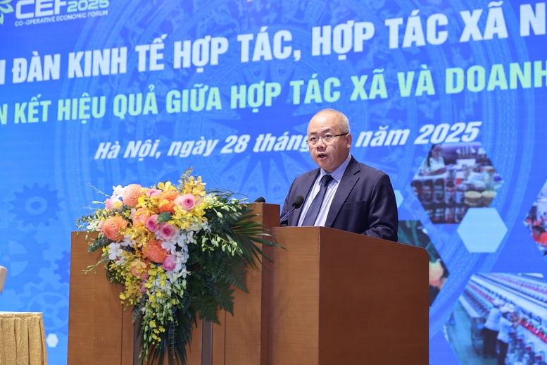 Liên kết hợp tác xã-doanh nghiệp: Lợi ích đa chiều- Ảnh 1.