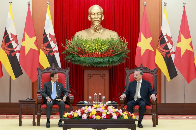 Tổng Bí thư Tô Lâm tiếp Quốc vương Brunei Darussalam Haji Hassanal Bolkiah- Ảnh 2.