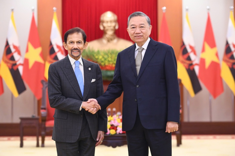 Tổng Bí thư Tô Lâm tiếp Quốc vương Brunei Darussalam Haji Hassanal Bolkiah- Ảnh 1.