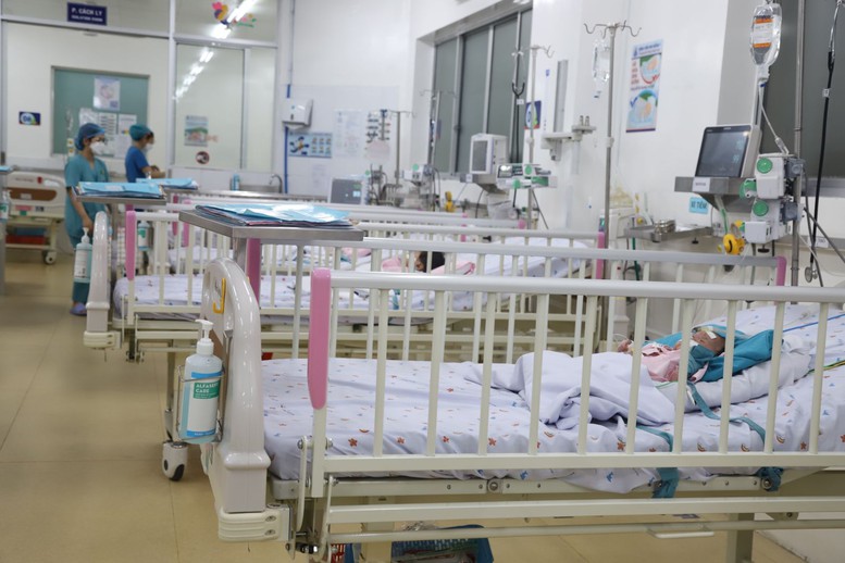 Cần có chiến lược toàn diện nhằm kiểm soát dịch bệnh sốt xuất huyết- Ảnh 1.