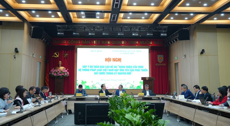 Góp ý hoàn thiện cấu trúc hệ thống pháp luật trong giai đoạn phát triển mới- Ảnh 2.