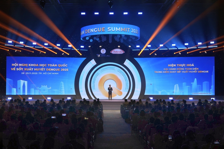 Cần có chiến lược toàn diện nhằm kiểm soát dịch bệnh sốt xuất huyết- Ảnh 1.