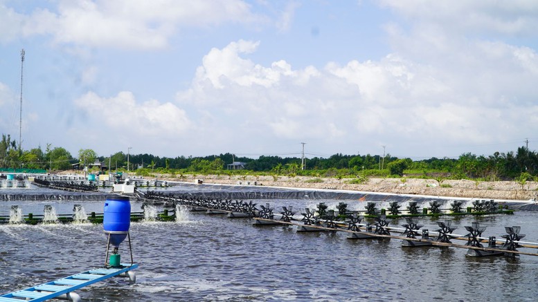 Thức ăn thủy sản De Heus đạt chuẩn quốc tế ASC: Bước tiến lớn trên hành trình phát triển bền vững- Ảnh 4.