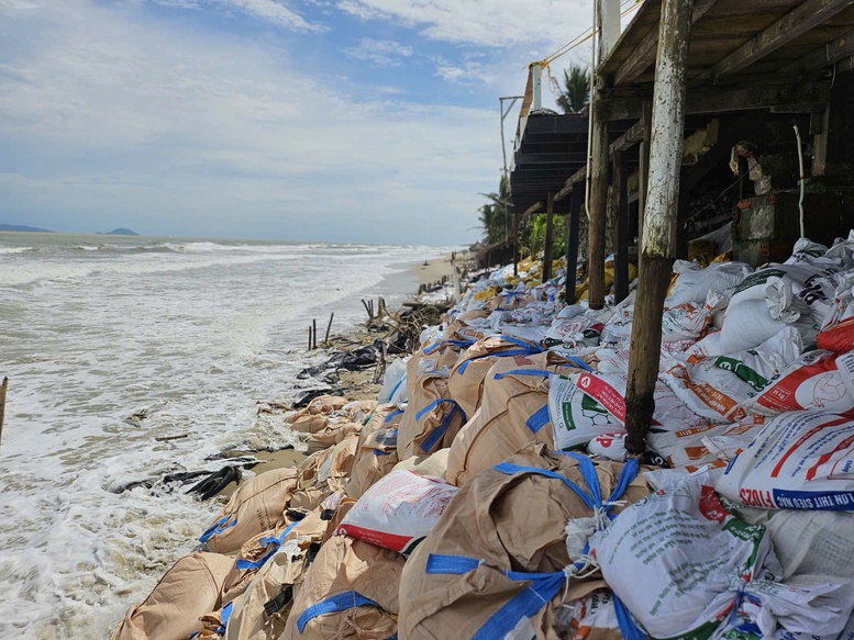 Nỗ lực dựng kè chắn sóng, bảo vệ bờ biển Hội An trước bão Kalmaegi- Ảnh 7. Nỗ lực dựng kè chắn sóng, bảo vệ bờ biển Hội An trước bão Kalmaegi- Ảnh 7.